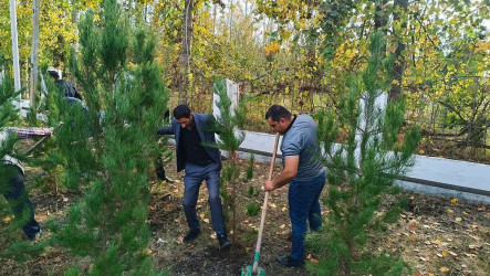 Şəhid ailələrinin üzvləri ağacəkmə aksiyasına qoşulublar