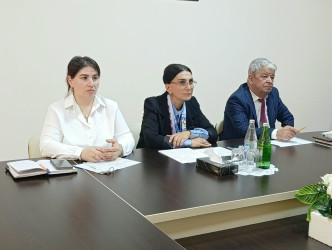 Milli Məclisin deputatı Jalə Əliyevanın seçicilərlə səyyar qəbulu keçirilib.