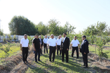 Zərdabda kənd təsərrüfatının inkişafı ilə bağlı təsərrüfatlara baxış keçirilib, Dövlət Proqramından irəli gələn məsələlər müzakirə olunub