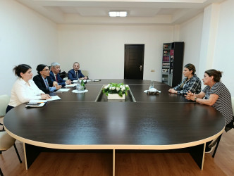 Milli Məclisin deputatı Jalə Əliyevanın seçicilərlə səyyar qəbulu keçirilib.