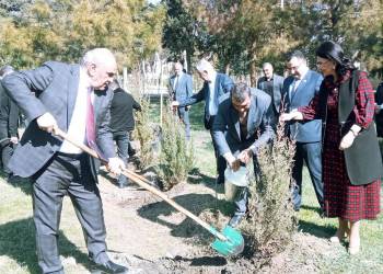 10 mart 2023-cü il tarixdə Zərdabda “Heydər Əliyev və azərbaycançılıq  məfkurəsi” mövzusunda konfrans və ağacəkmə aksiyası keçirilib