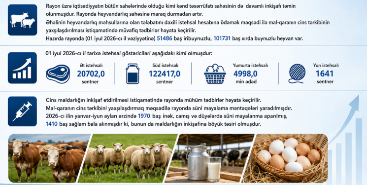 Zərdabda heyvandarlıq inkişaf yolundadır